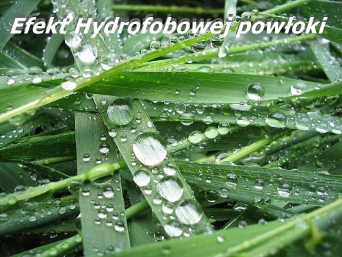 hydro.jpg