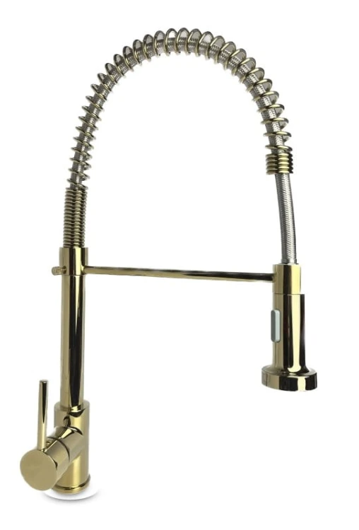 SANTI H gold 3a.jpg