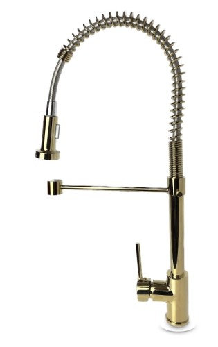 SANTI H gold 2.jpg