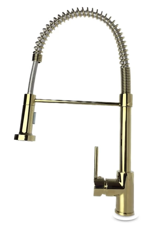 SANTI H gold 1.jpg