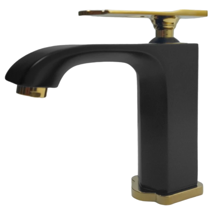 roma black (3).png
