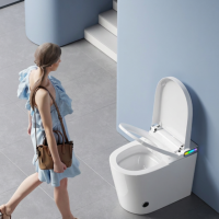 toaleta wc.png