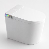 wc-inteligentna-6000.jpg